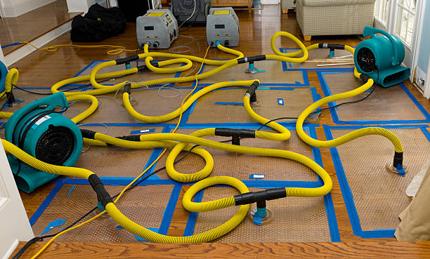 Professional Flood Damage Restoration technician working in Chama, CO